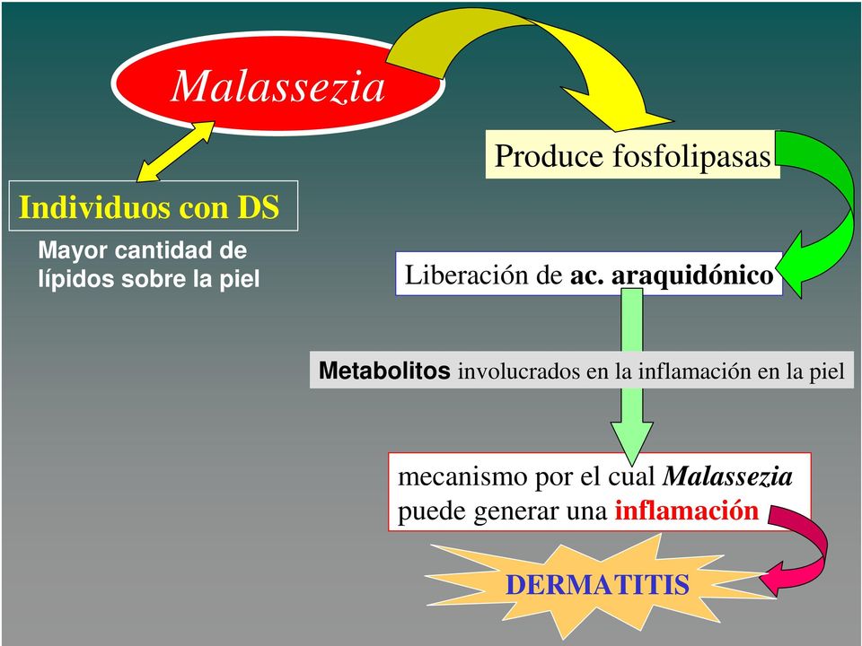 araquidónico Metabolitos involucrados en la inflamación en la