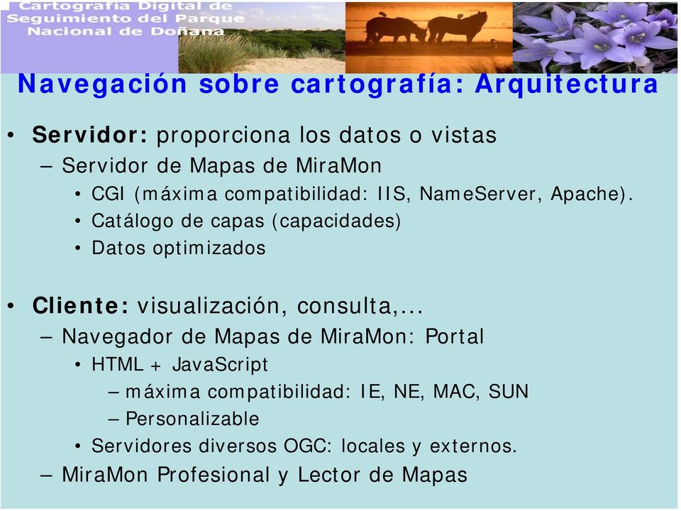 Catálogo de capas (capacidades) Datos optimizados Cliente: visualización, consulta,.