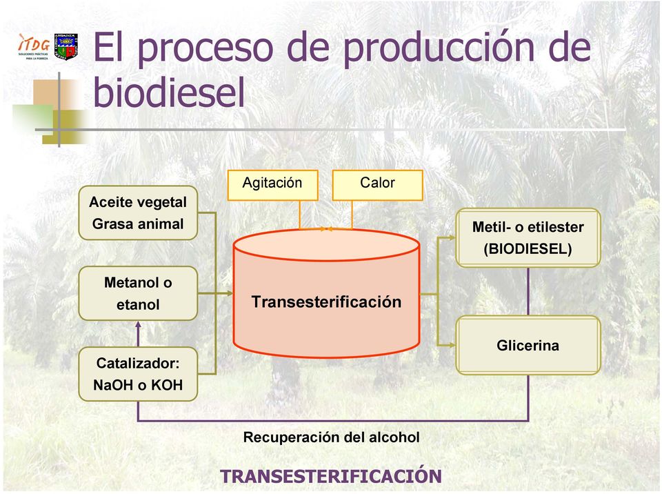 (BIODIESEL) Metanol o etanol Transesterificación