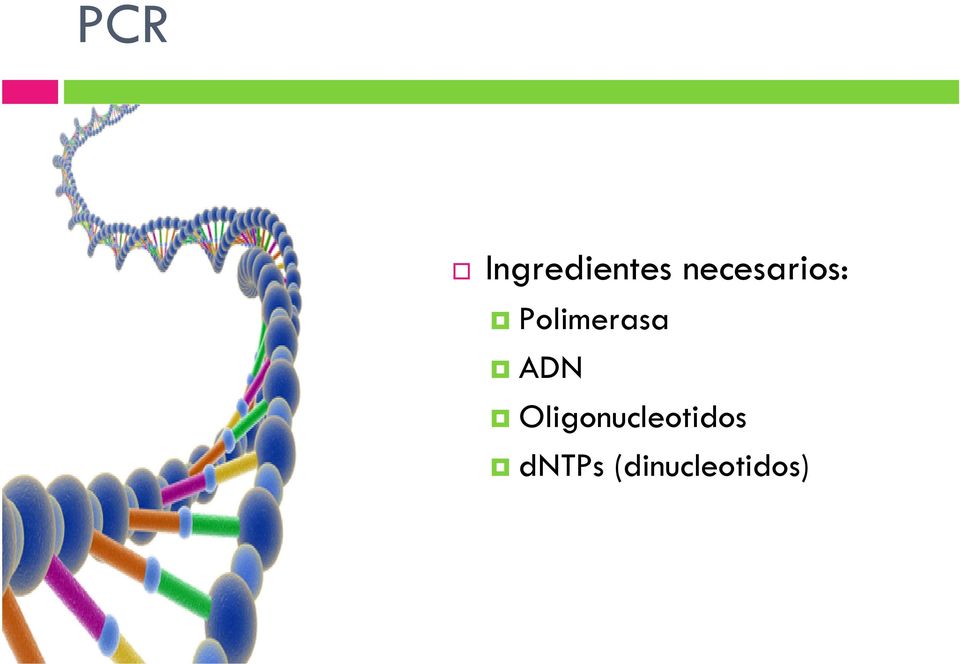 Polimerasa ADN
