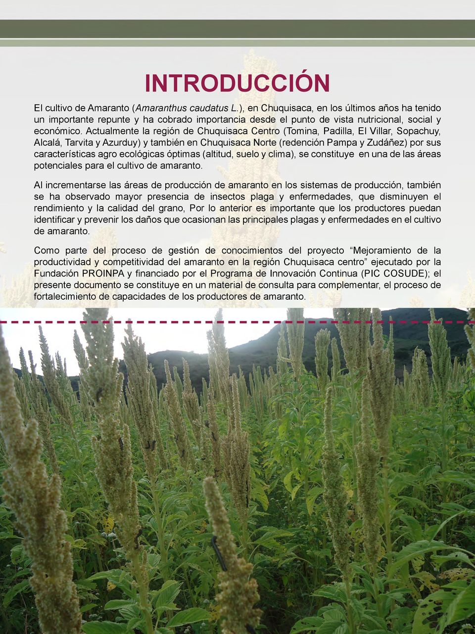 Actualmente la región de Chuquisaca Centro (Tomina, Padilla, El Villar, Sopachuy, Alcalá, Tarvita y Azurduy) y también en Chuquisaca Norte (redención Pampa y Zudáñez) por sus características agro