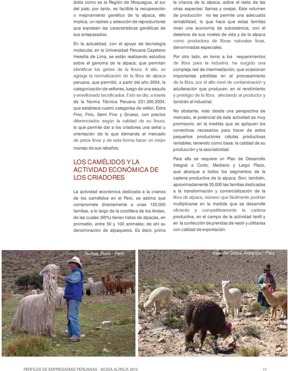 En la actualidad, con el apoyo de tecnología molecular, en la Universidad Peruana Cayetano Heredia de Lima, se están realizando estudios sobre el genoma de la alpaca, que permitan peruana, que