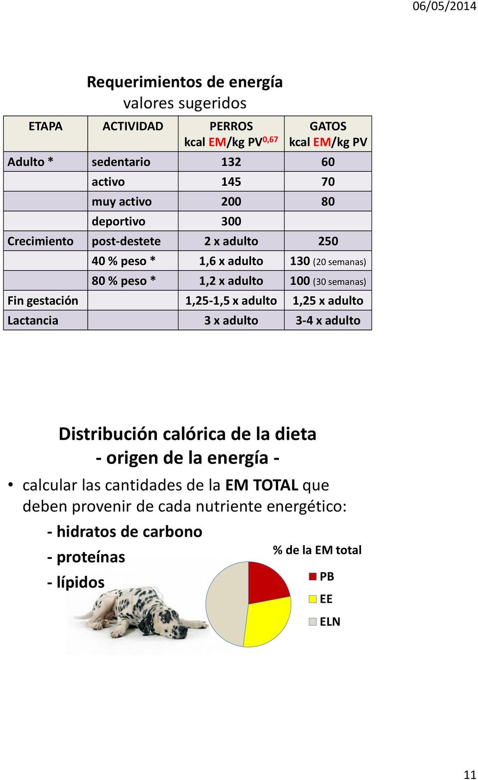 semanas) Fin gestación 1,25-1,5 x adulto 1,25 x adulto Lactancia 3 x adulto 3-4 x adulto Distribución calórica de la dieta - origen de la energía -