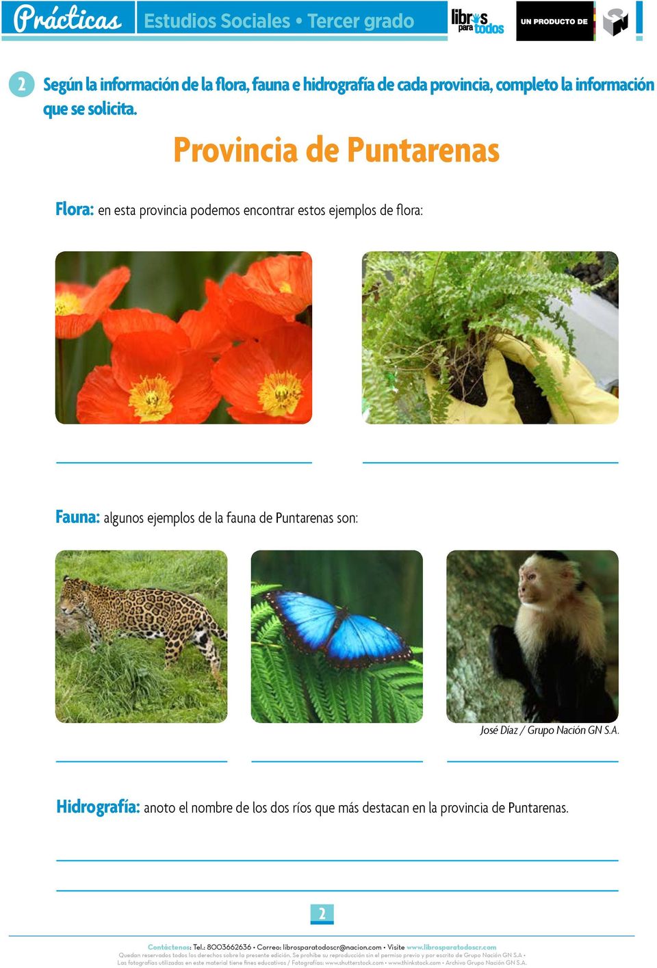 Provincia de Puntarenas Flora: en esta provincia podemos encontrar estos ejemplos de flora: