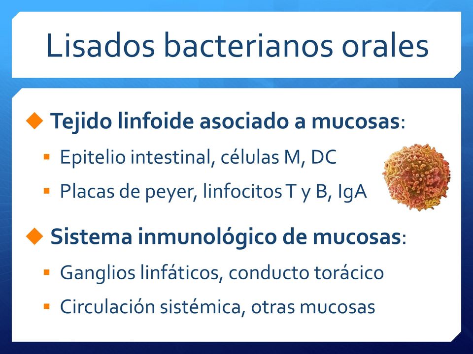 linfocitos T y B, IgA Sistema inmunológico de mucosas: