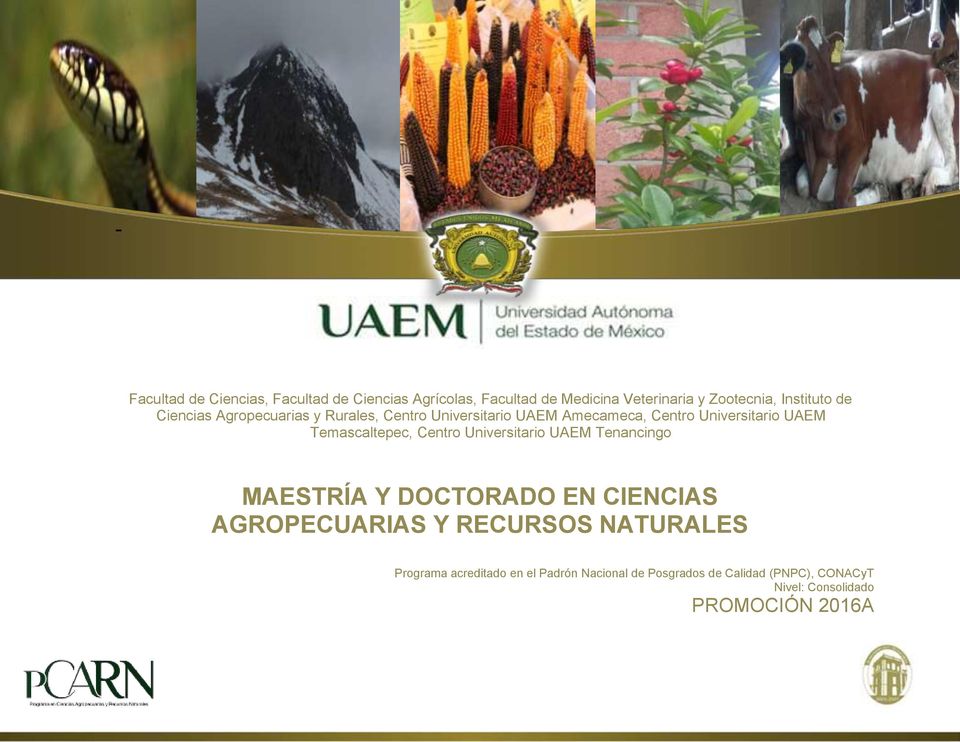 Temascaltepec, Centro Universitario UAEM Tenancingo MAESTRÍA Y DOCTORADO EN CIENCIAS AGROPECUARIAS Y RECURSOS