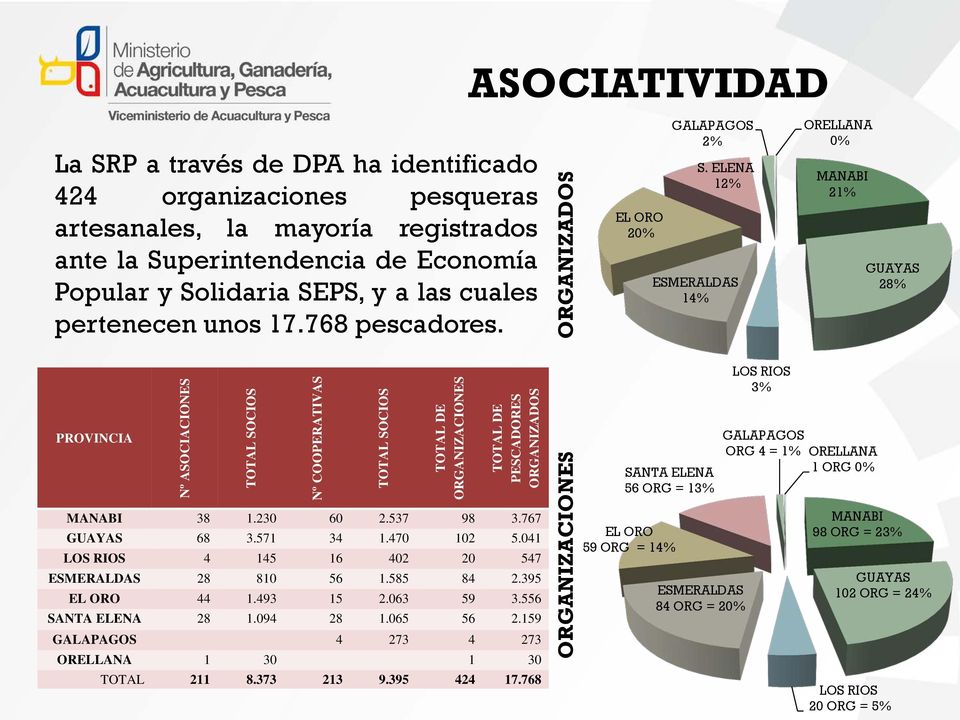 ELENA 12% 14% ORELLANA 0% 21% GUAYAS 28% PROVINCIA Nº ASOCIACIONES TOTAL SOCIOS Nº COOPERATIVAS TOTAL SOCIOS TOTAL DE ORGANIZACIONES TOTAL DE PESCADORES ORGANIZADOS 38 1.230 60 2.537 98 3.