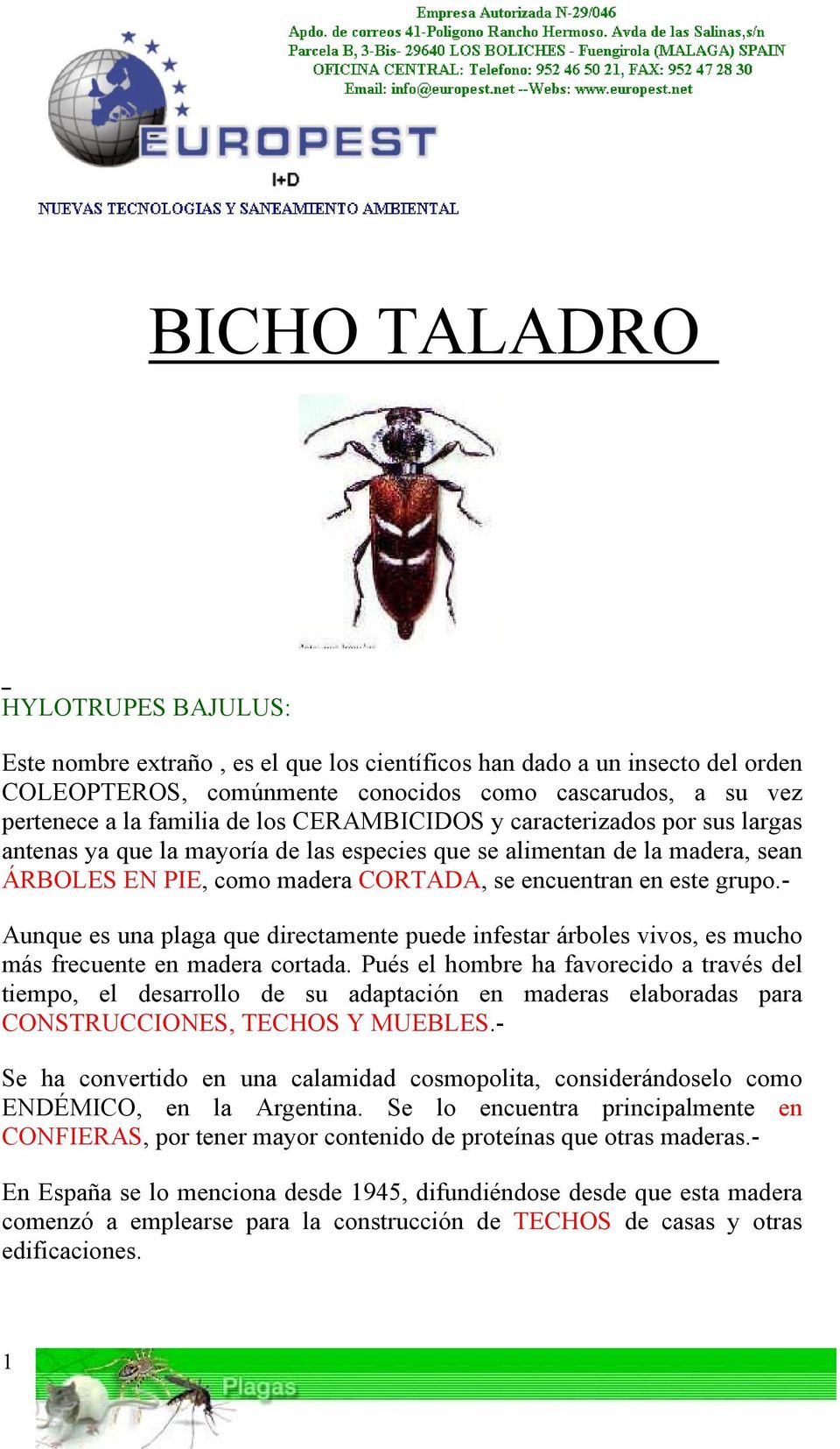 detrás Especificado Armonía BICHO TALADRO HYLOTRUPES BAJULUS: - PDF Free Download