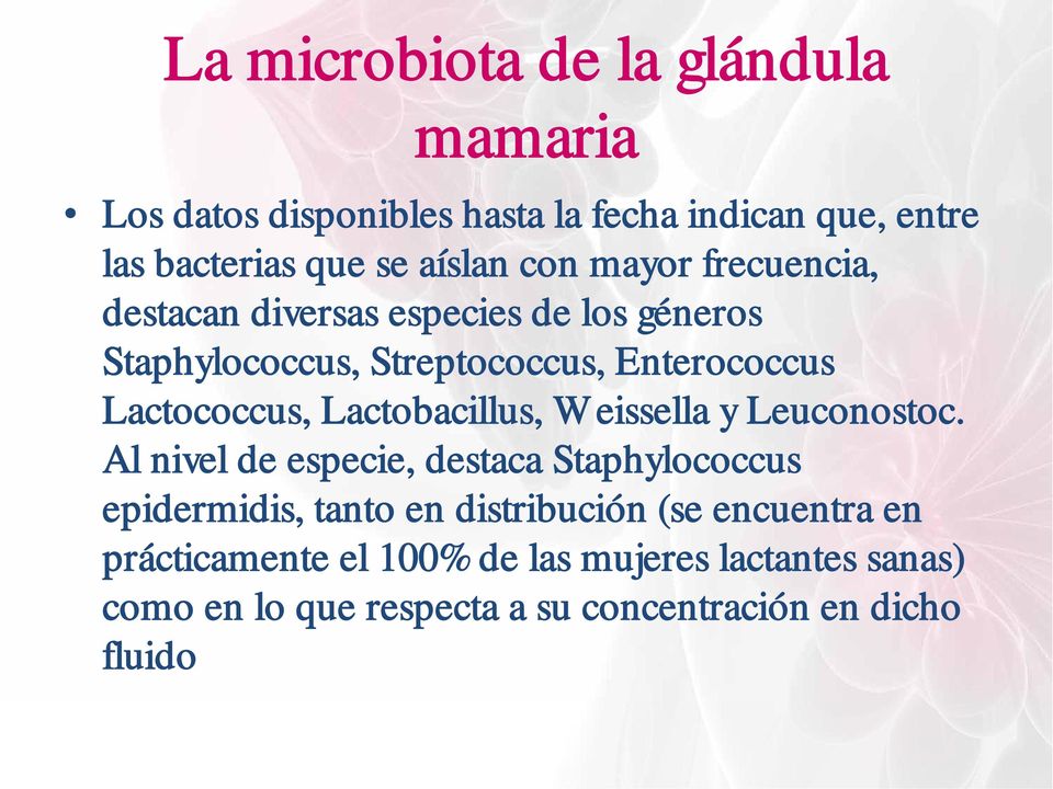 Lactobacillus, Weissella y Leuconostoc.