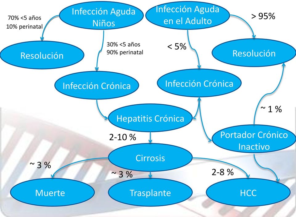 Infección Crónica Infección Crónica ~ 3 % Hepatitis Crónica 2-10 %