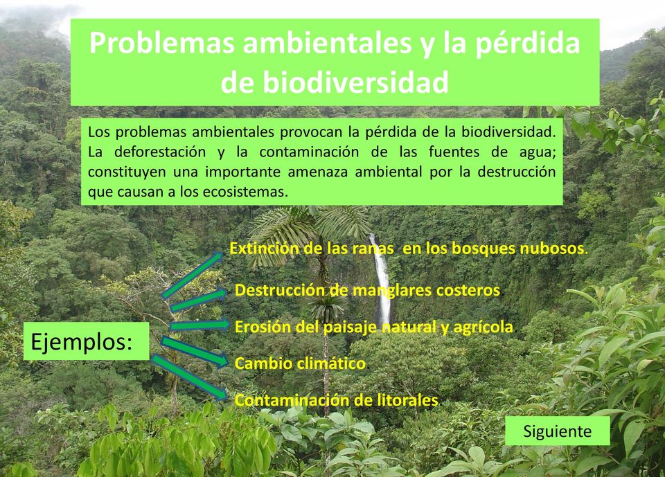 La deforestación y la contaminación de las fuentes de agua; constituyen una importante amenaza ambiental por la