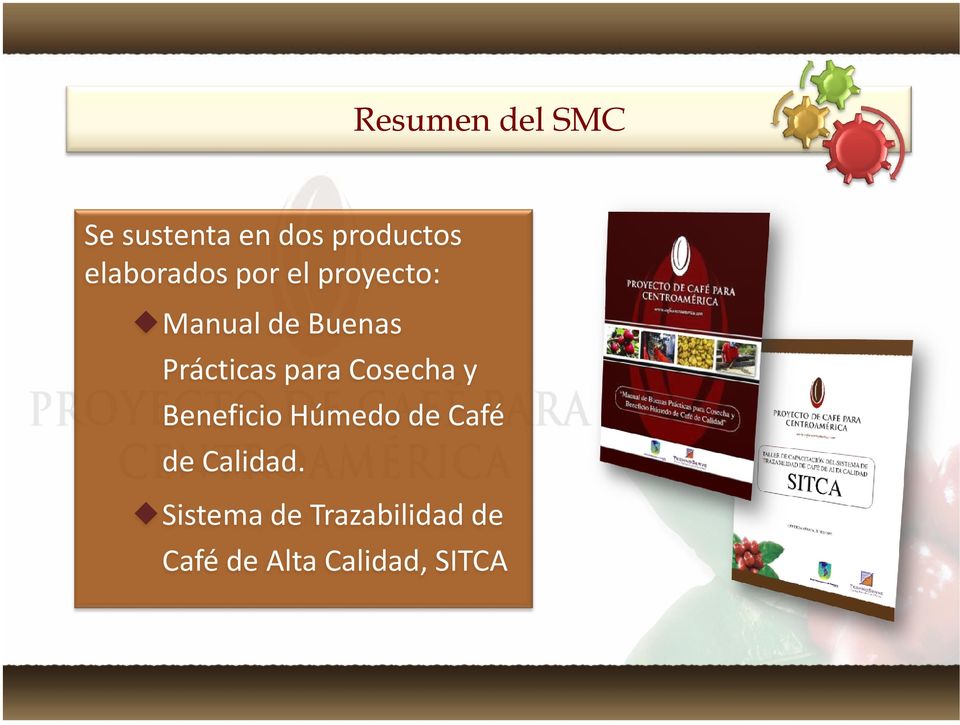 Prácticas para Cosecha y Beneficio Húmedo de Café