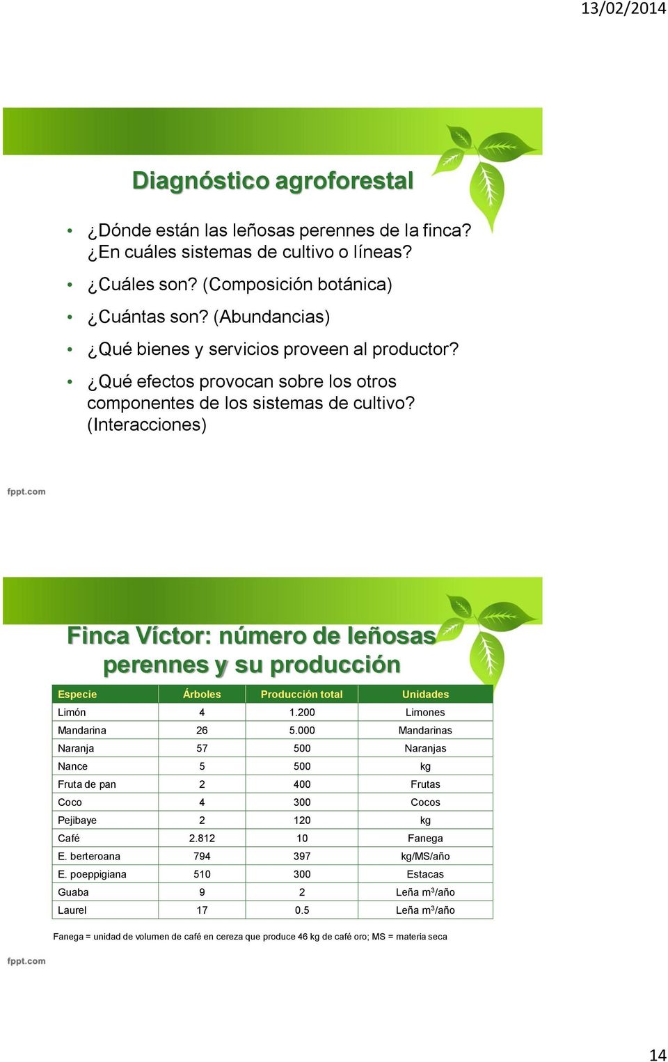 (Interacciones) Finca Víctor: número de leñosas perennes y su producción Especie Árboles Producción total Unidades Limón 4 1.200 Limones Mandarina 26 5.