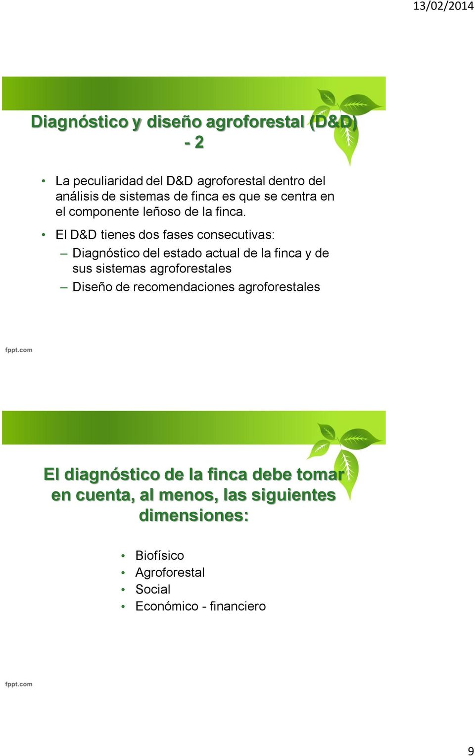 El D&D tienes dos fases consecutivas: Diagnóstico del estado actual de la finca y de sus sistemas agroforestales