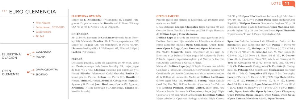 Open Diosa Mejor producto Copa República 10.Open Faraon Temporadas Inglesas 13 y 14 Fecha de nac.: 12/10/2013 RP: 243 USA 04 al 08 F. Pieres y P. Mac Donough. GO