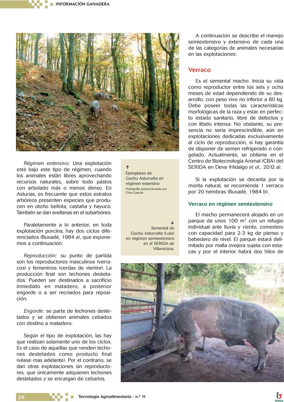 En Asturias, es frecuente que estos estratos arbóreos presenten especies que producen en otoño bellota, castaña y hayuco. También se dan avellanas en el subarbóreo.