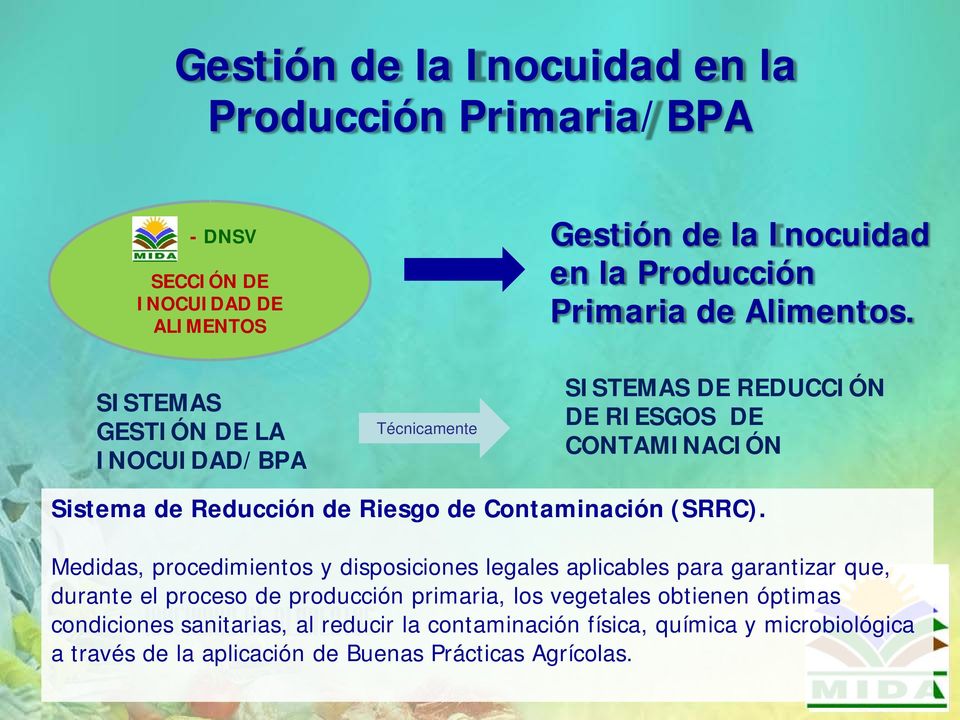 SISTEMAS GESTIÓN DE LA INOCUIDAD/BPA Técnicamente SISTEMAS DE REDUCCIÓN DE RIESGOS DE CONTAMINACIÓN Sistema de Reducción de Riesgo de Contaminación