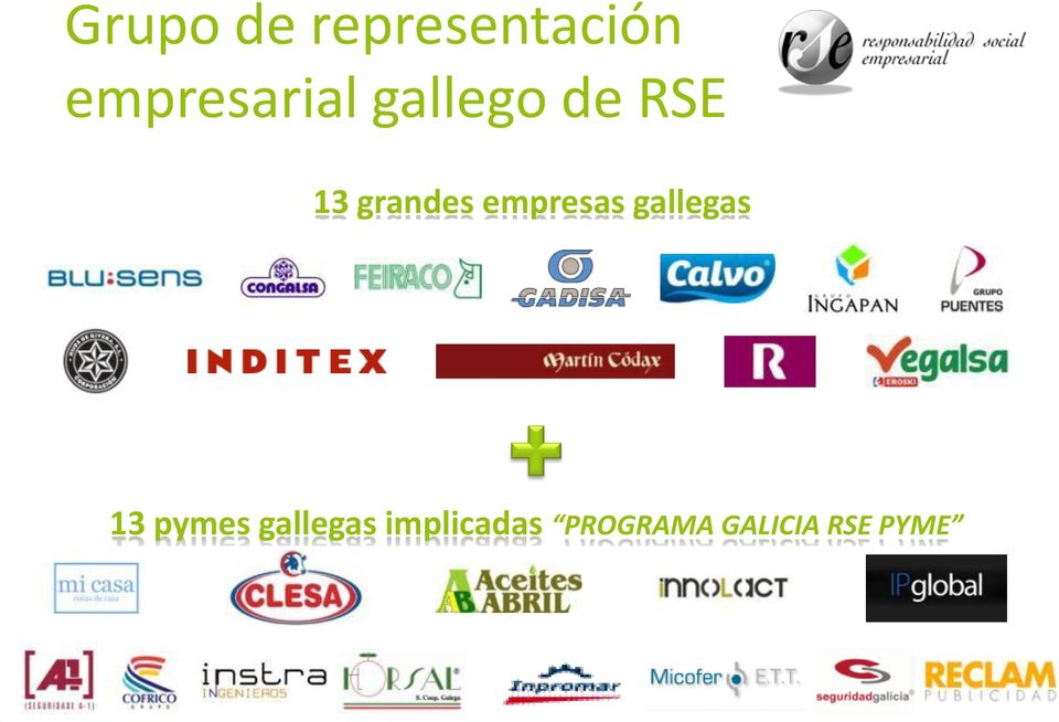 grandes empresas gallegas 13