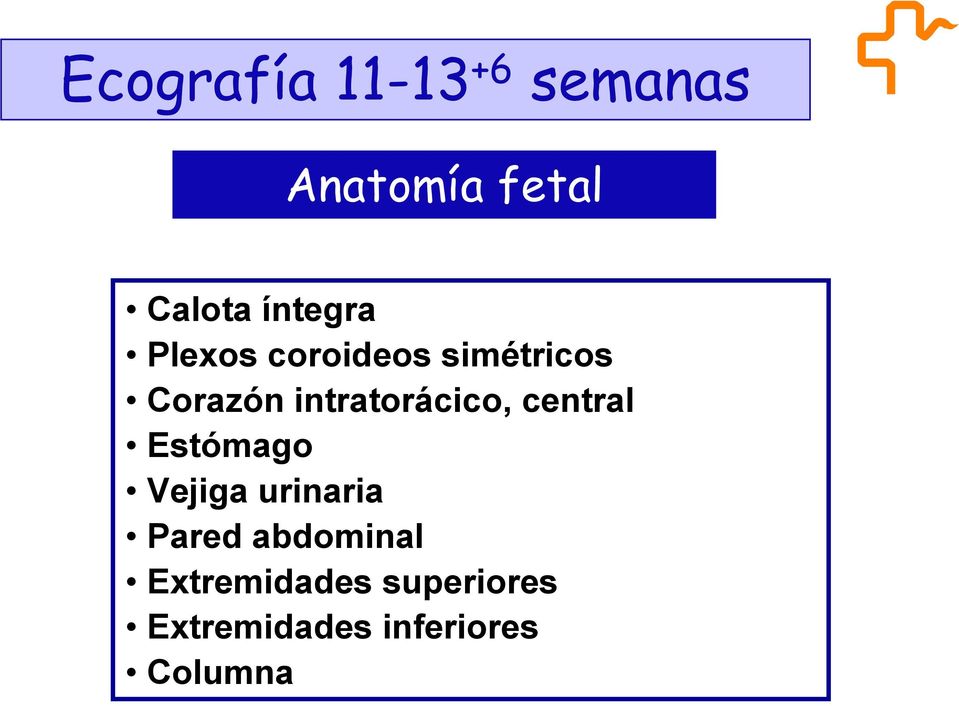 intratorácico, central Estómago Vejiga urinaria