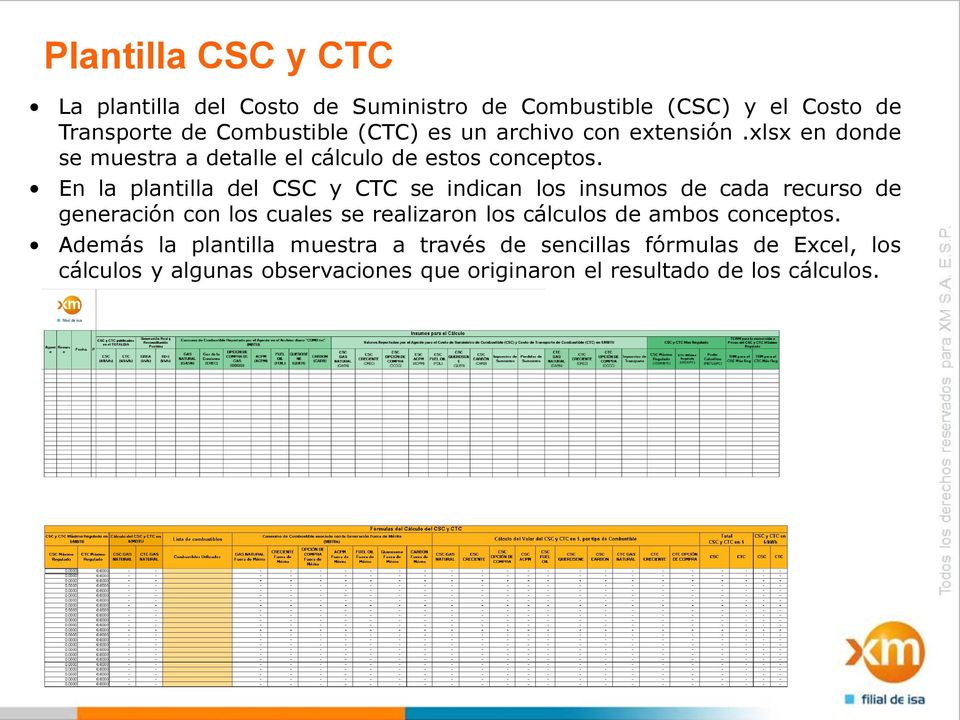 En la plantilla del CSC y CTC se indican los insumos de cada recurso de generación con los cuales se realizaron los cálculos de