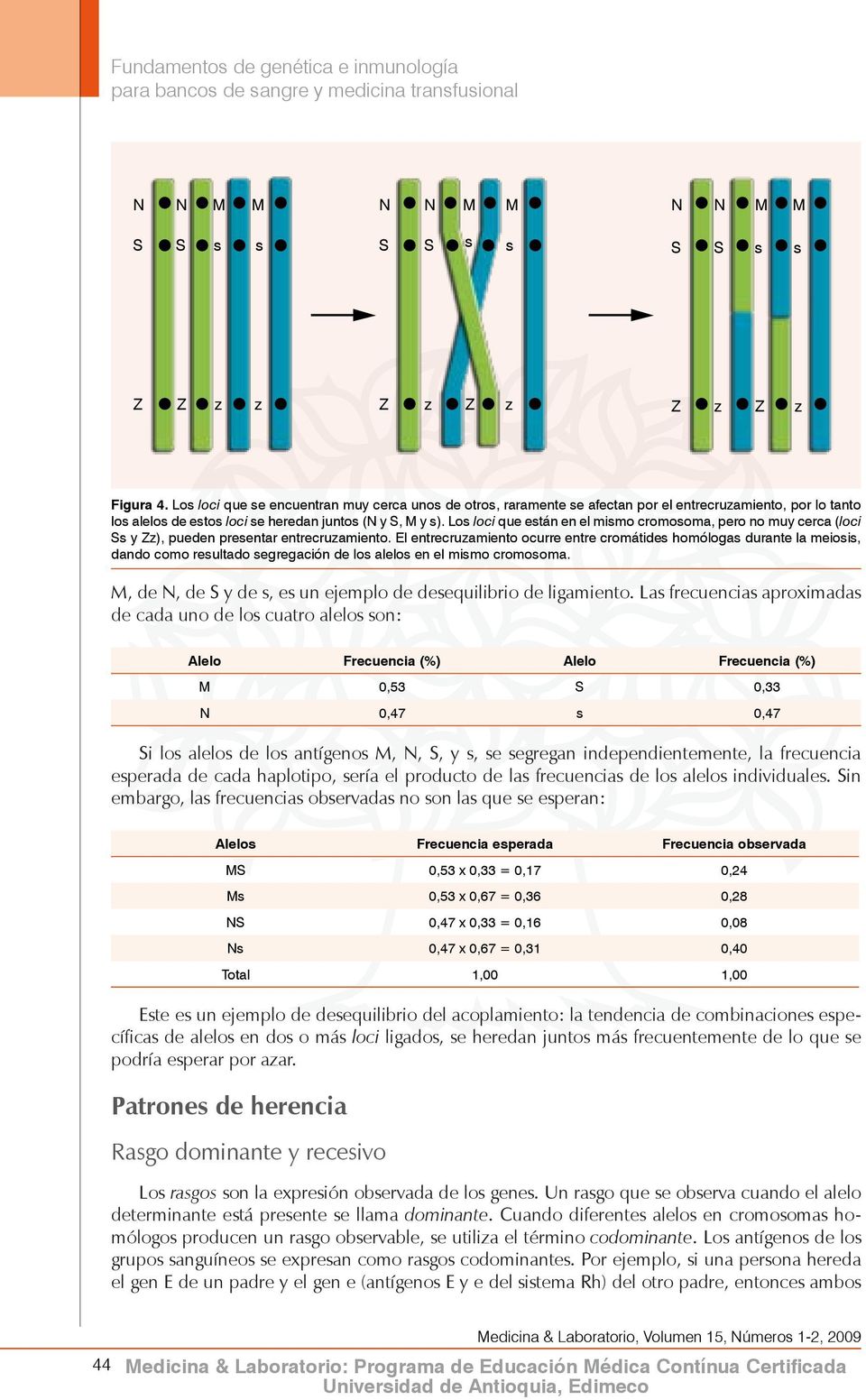 Los loci que están en el mismo cromosoma, pero no muy cerca (loci Ss y Zz), pueden presentar entrecruzamiento.