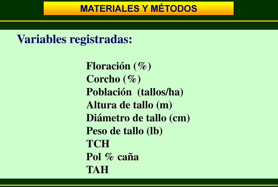 Población (tallos/ha) Altura de tallo (m)