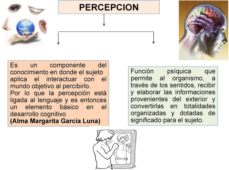 Por lo que la percepción está ligada al lenguaje y es entonces un elemento básico en el desarrollo cognitivo (Alma
