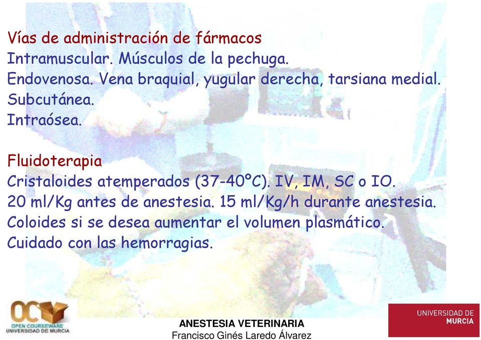 Fluidoterapia Cristaloides atemperados (37-40ºC). IV, IM, SC o IO.