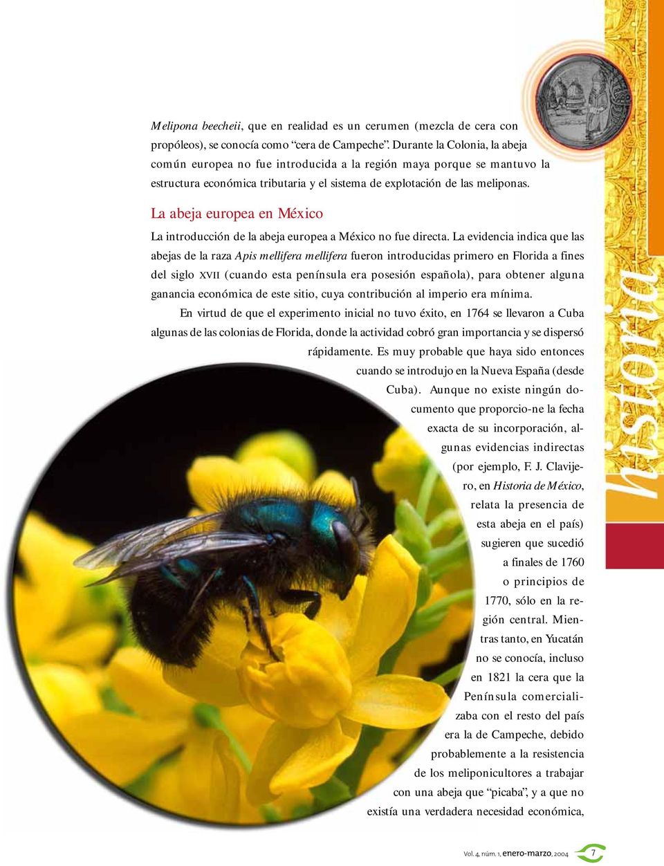 La abeja europea en México La introducción de la abeja europea a México no fue directa.