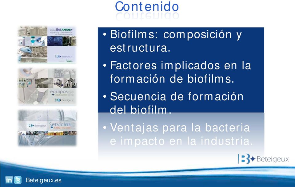 biofilms. Secuencia de formación del biofilm.