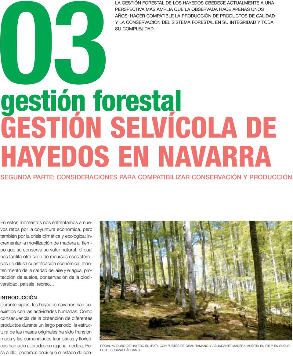 gestión forestal GESTIÓN SELVÍCOLA DE HAYEDOS EN NAVARRA SEGUNDA PARTE: CONSIDERACIONES PARA COMPATIBILIZAR CONSERVACIÓN Y PRODUCCIÓN En estos momentos nos enfrentamos a nuevos retos por la coyuntura