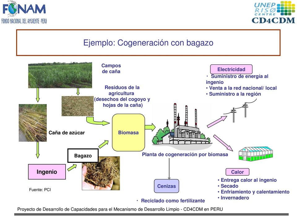 la región Caña de azúcar Biomasa Bagazo Planta de cogeneración por biomasa Ingenio Fuente: PCI Cenizas