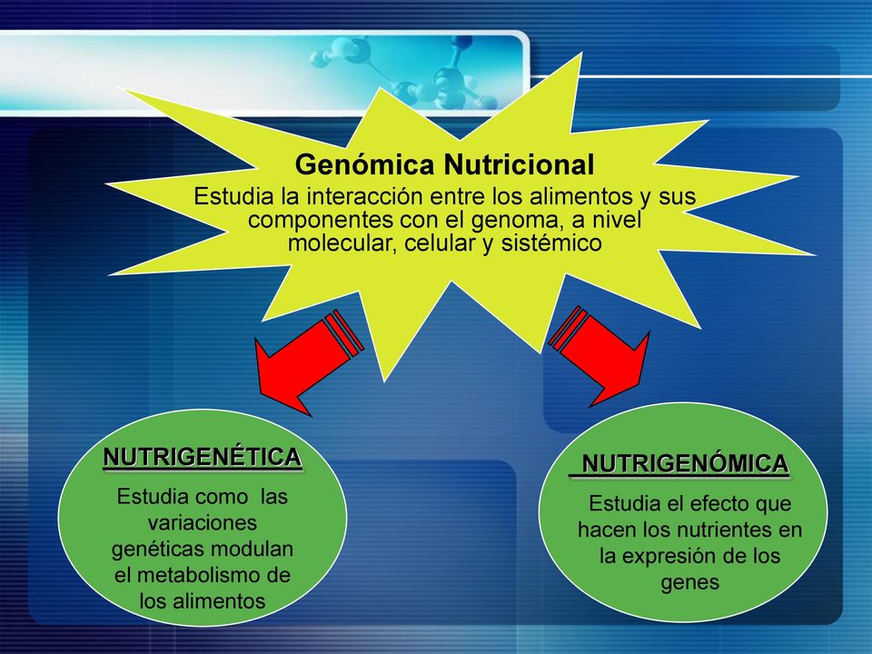NUTRIGENÉTICA Estudia como las variaciones genéticas modulan el metabolismo de