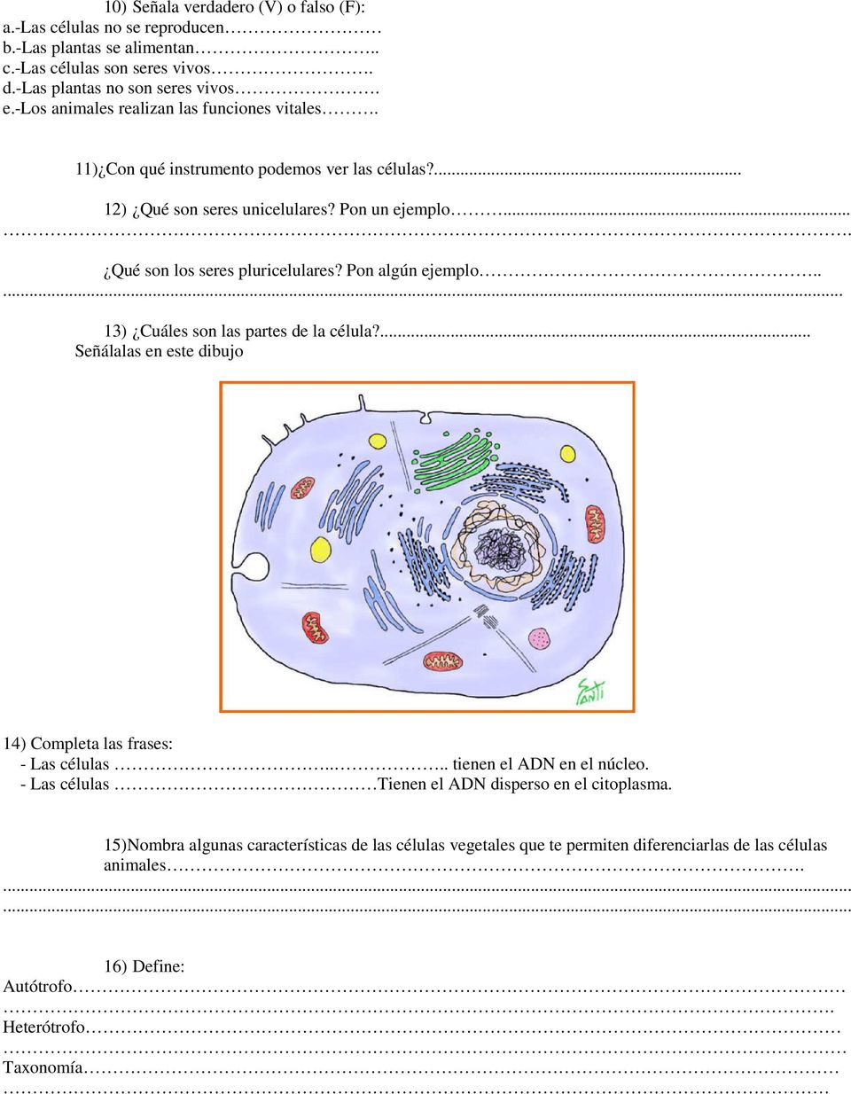 Pon algún ejemplo..... 13) Cuáles son las partes de la célula?... Señálalas en este dibujo 14) Completa las frases: - Las células.... tienen el ADN en el núcleo.