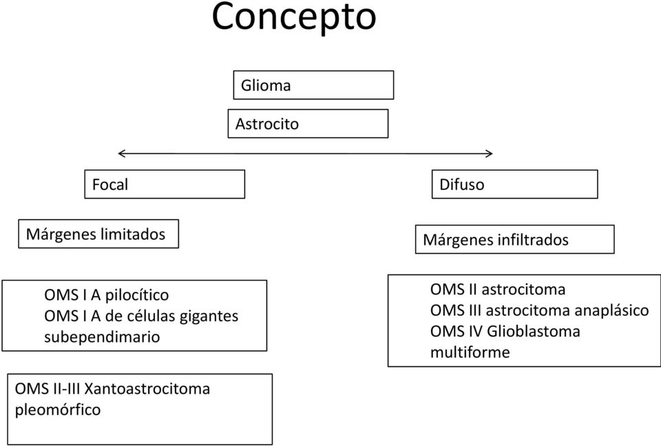 infiltrados OMS II astrocitoma OMS III astrocitoma anaplásico OMS