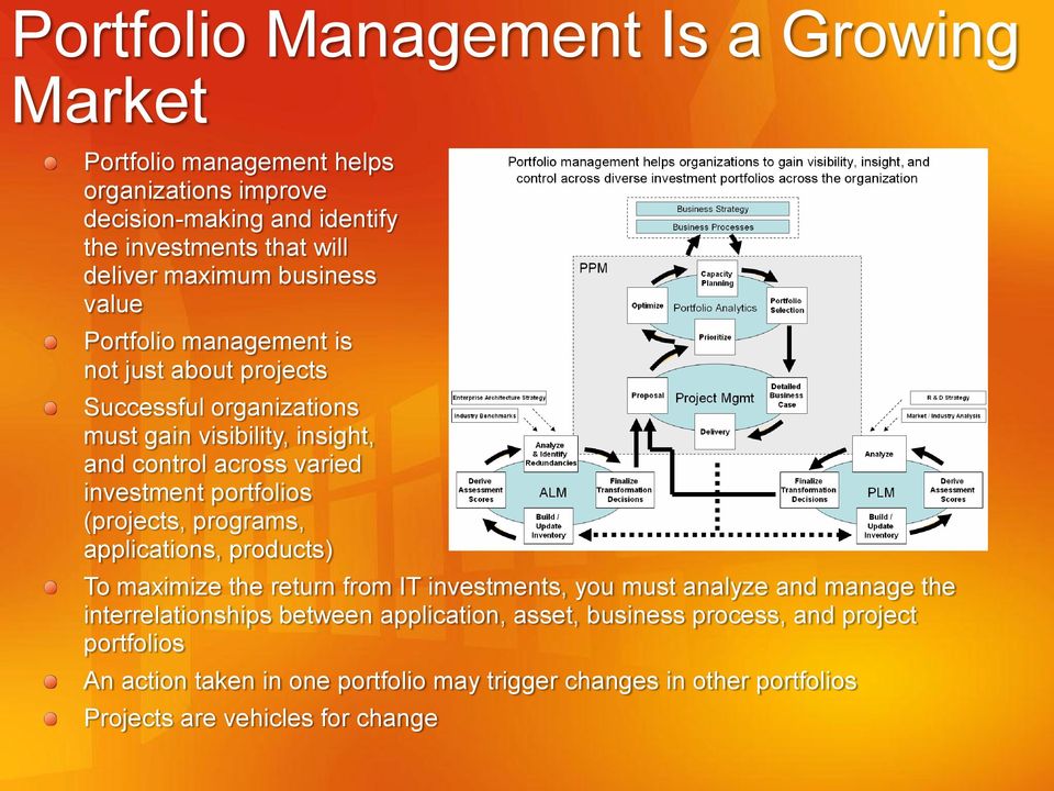 portfolios (projects, programs, applications, products) To maximize the return from IT investments, you must analyze and manage the interrelationships between