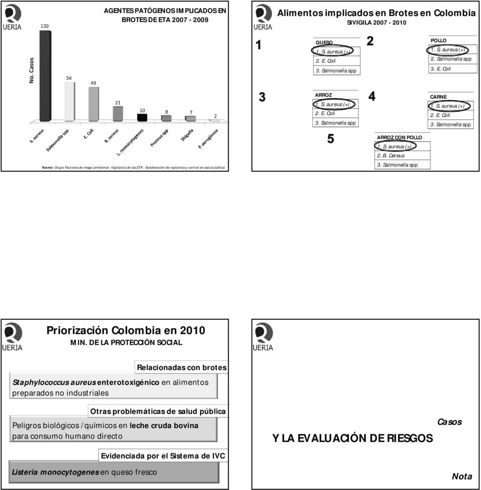 Salmonella spp Priorización Colombia en 2010 MIN.