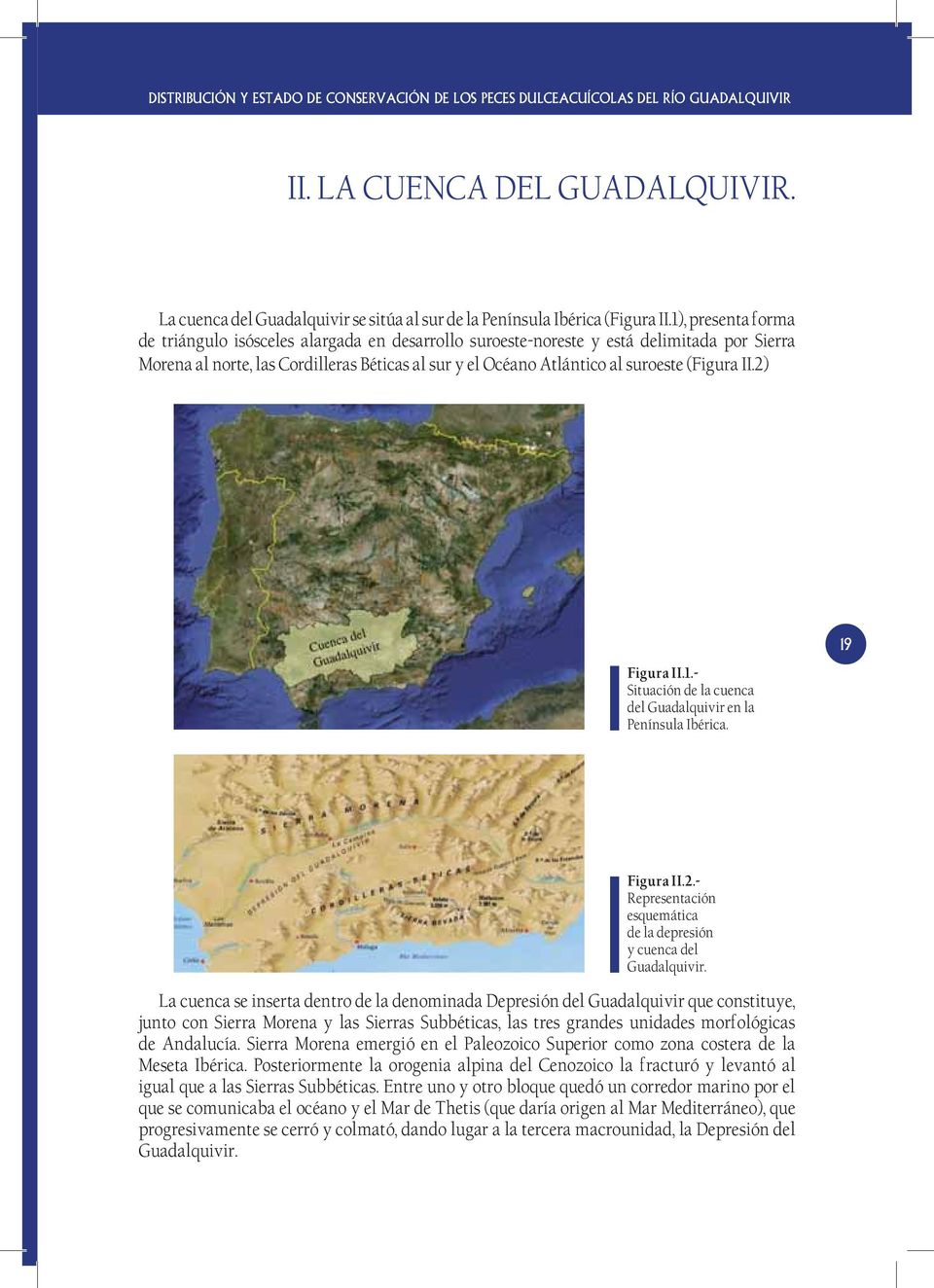 (Figura II.2) 19 Figura II.1.- Situación de la cuenca del Guadalquivir en la Península Ibérica. Figura II.2.- Representación esquemática de la depresión y cuenca del Guadalquivir.