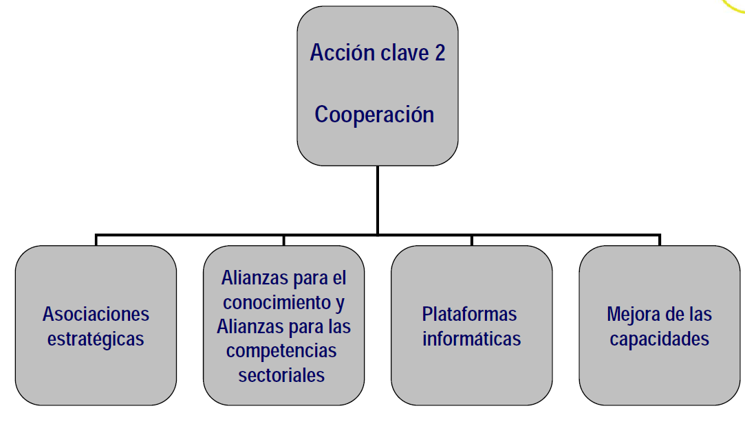 Acción clave 2: Cooperación para la innovación y las buenas prácticas (institucional) Asociaciones para la cooperación entre Instituciiones Diferencias
