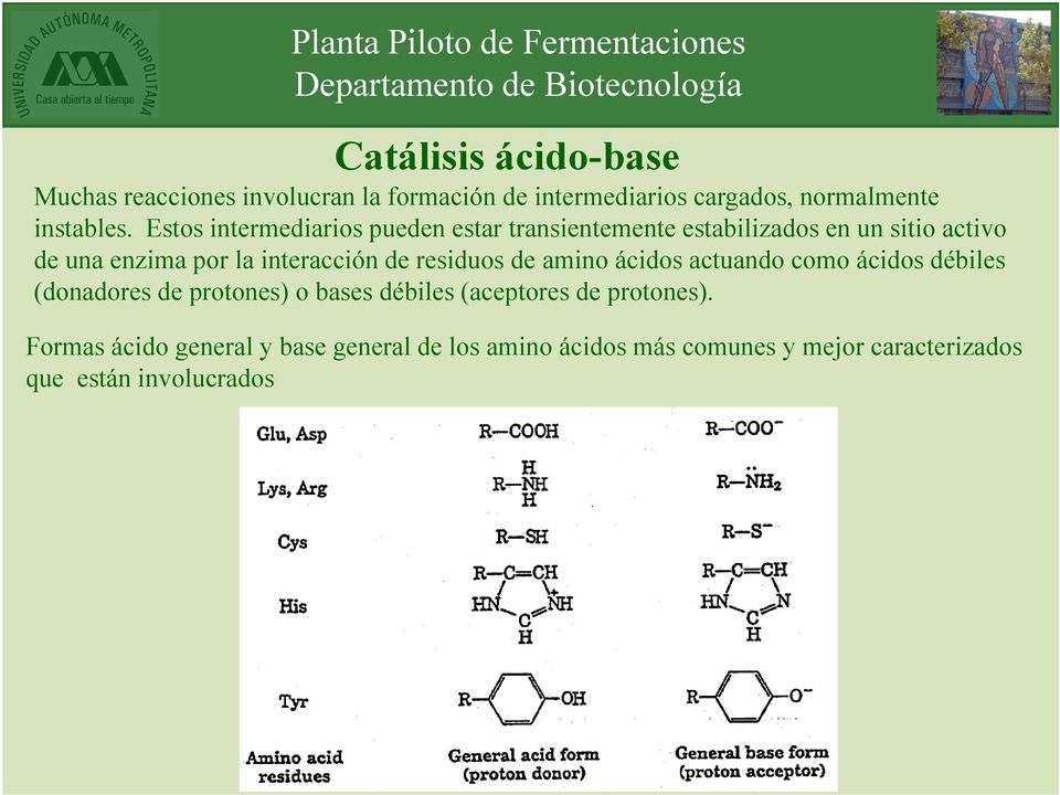 de residuos de amino ácidos actuando como ácidos débiles (donadores de protones) o bases débiles (aceptores de