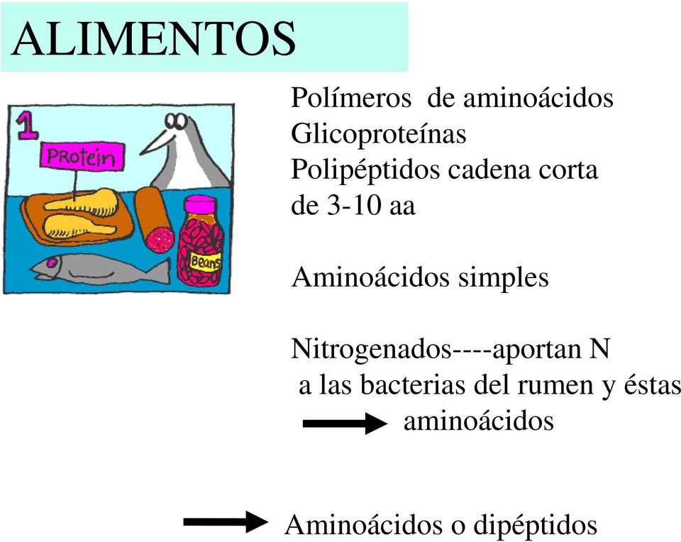simples Nitrogenados----aportan N a las bacterias