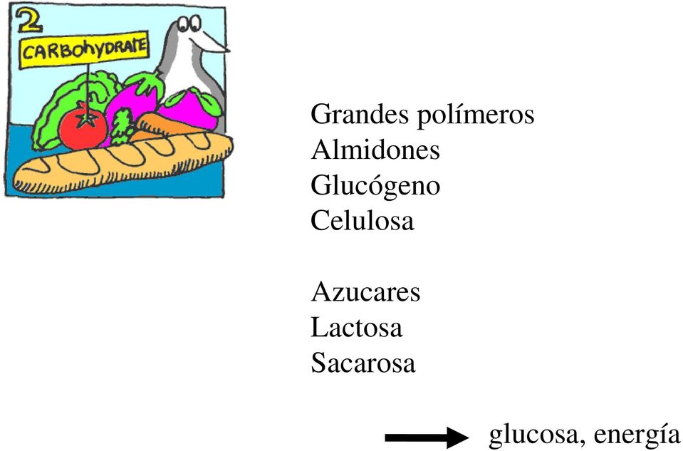 Celulosa Azucares