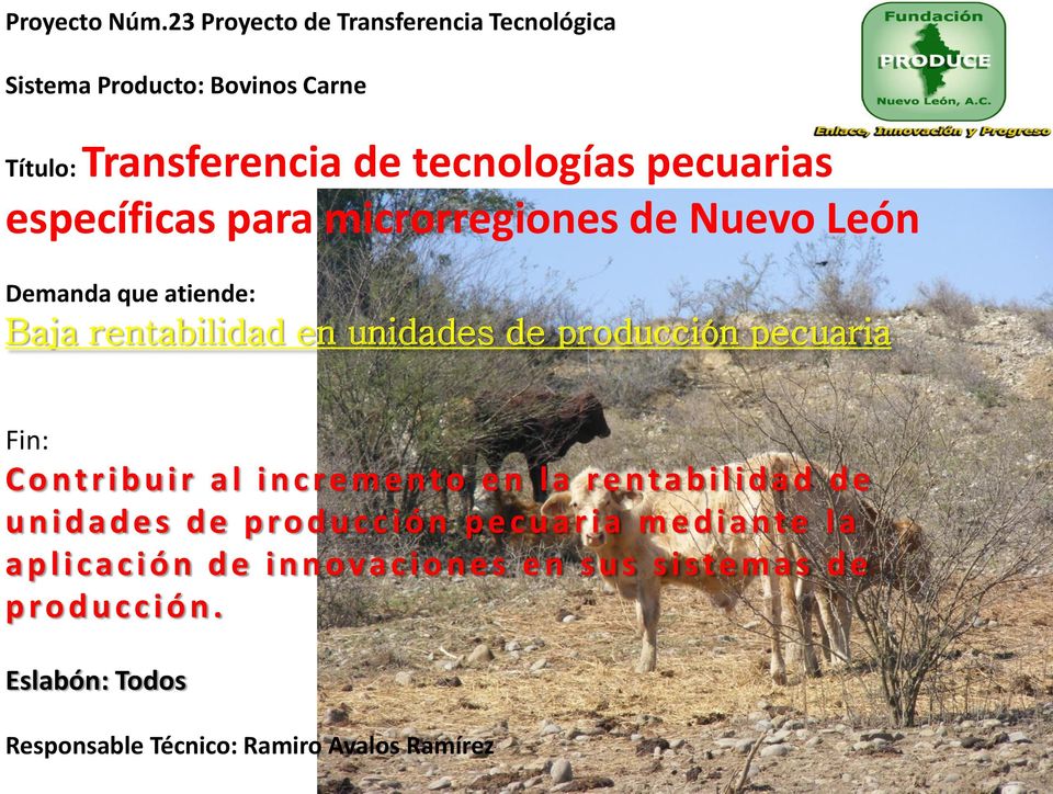 microrregiones de Nuevo León Demanda que atiende: Baja rentabilidad en unidades de producción pecuaria Fin: C o ntribuir al incre m e nto