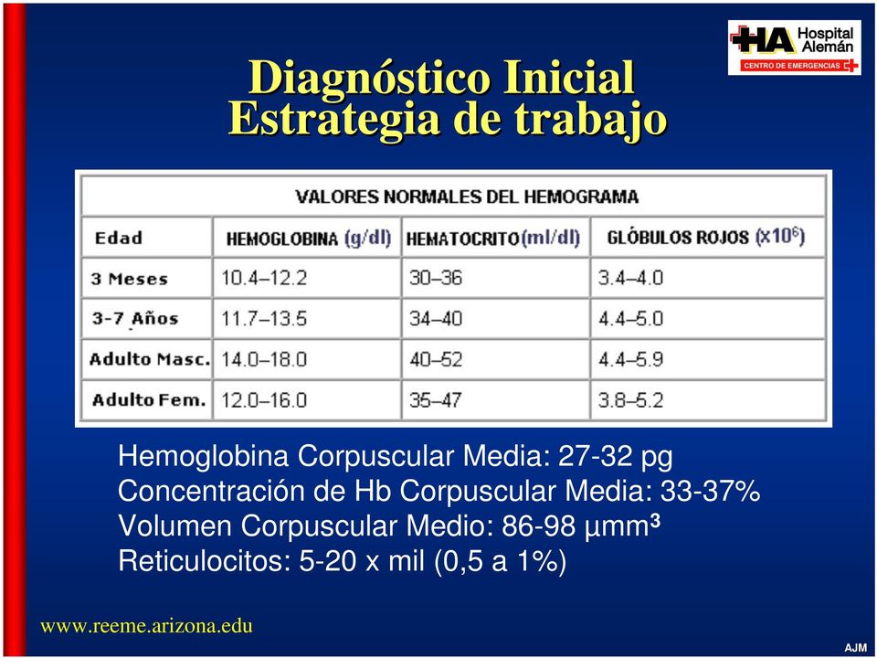 Concentración de Hb Corpuscular Media: 33-37%