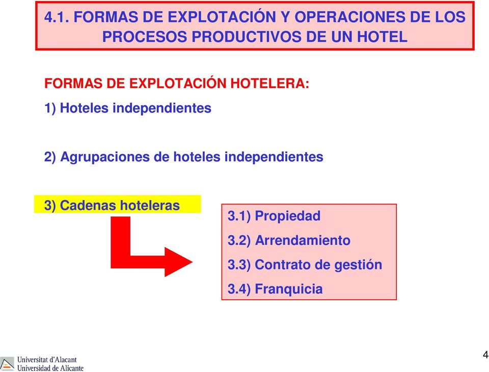 2) Agrupaciones de hoteles independientes 3) Cadenas hoteleras 3.