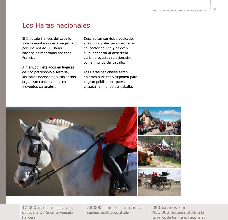 Desarrollan servicios dedicados a las principales personalidades del sector equino y ofrecen su experiencia al desarrollo de los proyectos relacionados con el mundo del caballo.