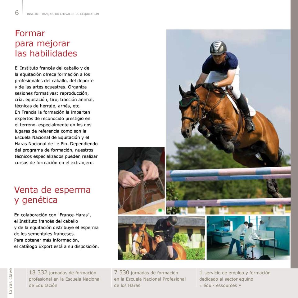En Francia la formación la imparten expertos de reconocido prestigio en el terreno, especialmente en los dos lugares de referencia como son la Escuela Nacional de Equitación y el Haras Nacional de Le