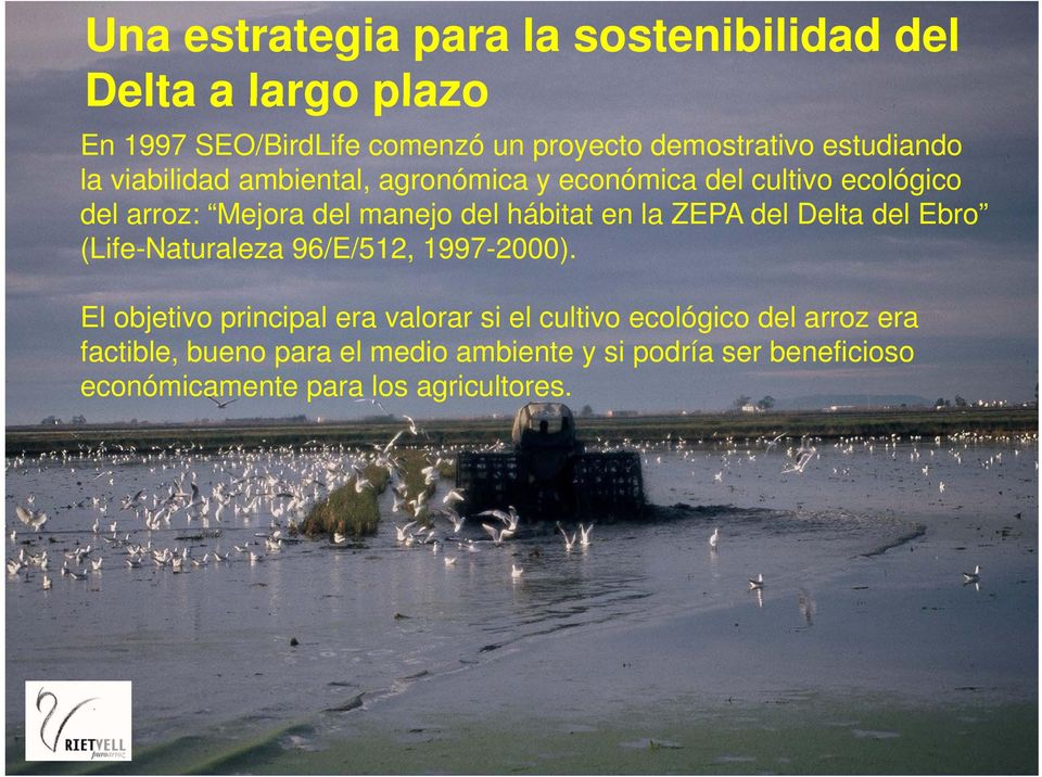 hábitat en la ZEPA del Delta del Ebro (Life-Naturaleza 96/E/512, 1997-2000).