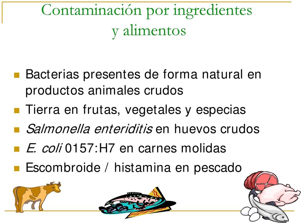 vegetales y especias Salmonella enteriditis en huevos crudos E.
