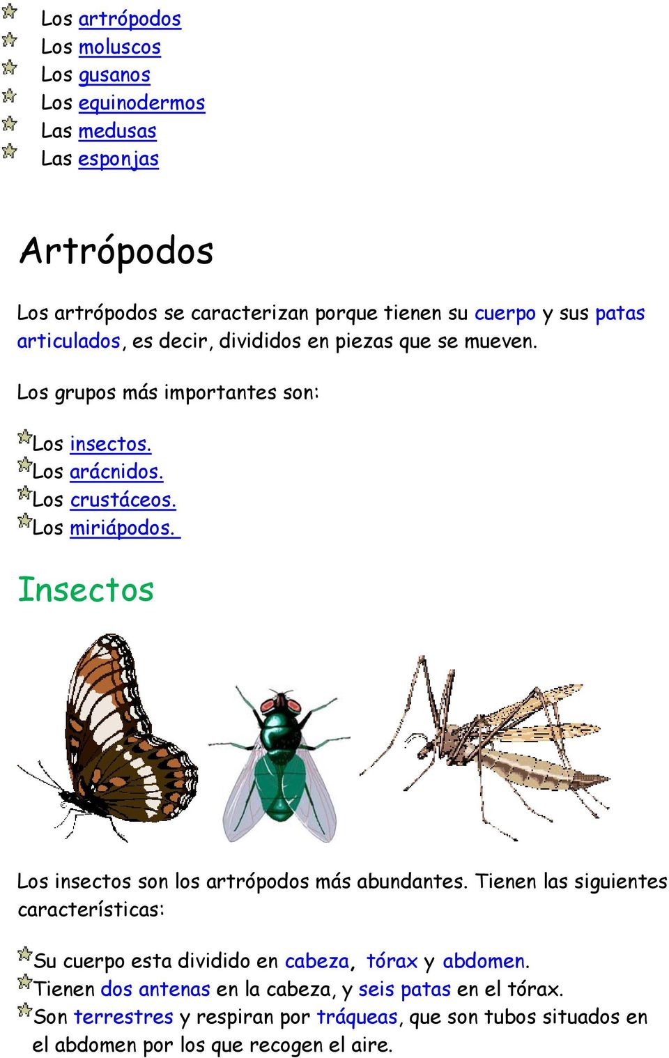 Insectos Los insectos son los artrópodos más abundantes. Tienen las siguientes características: Su cuerpo esta dividido en cabeza, tórax y abdomen.